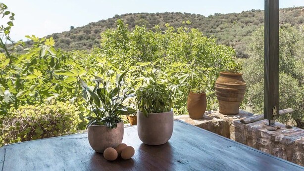A terrace with potted plants and a view of a hilly landscape. - Orgon Farm Houses (Apostoli)