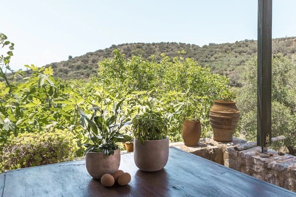 Family House, Mountain View | 1 bedroom, iron/ironing board, free WiFi - Orgon Farm Houses (Apostoli)