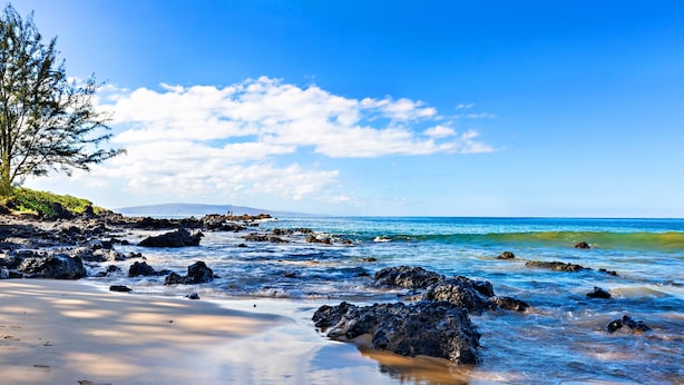 A beach with clear blue water, rocky shoreline, and a tree on the left.