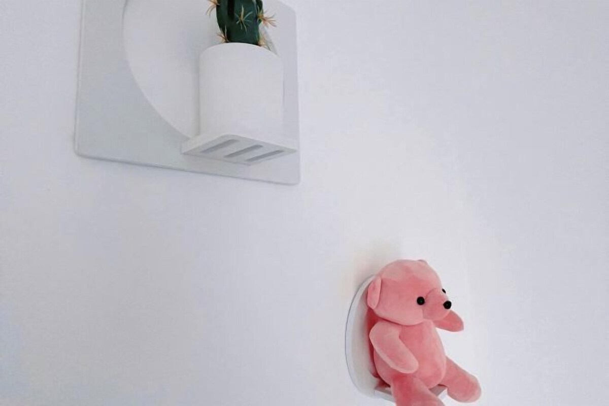 Un mur blanc orné d’un cactus dans un pot transparent et d’un jouet en peluche rose.