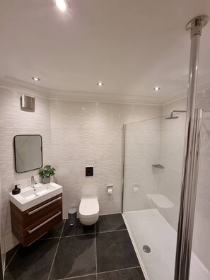 Hair dryer, towels, soap, toilet paper