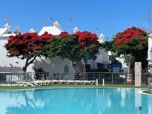 Piscina externa