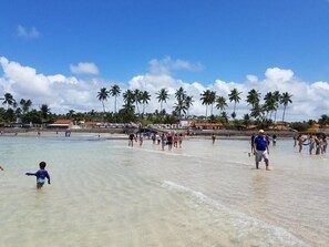 Beach - Pousada Areal Barra Grande Maragogi AL (Maragogi)