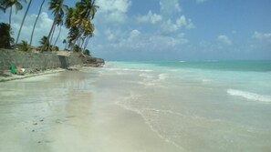 Beach - Pousada Areal Barra Grande Maragogi AL (Maragogi)