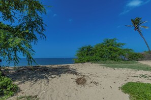 A beach with sand, trees, and a clear blue sky.