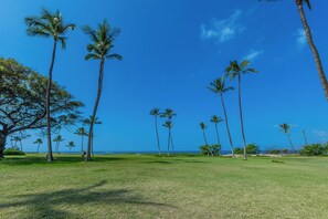 A golf course with palm trees and a clear blue sky.