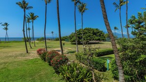 A lush garden with palm trees, a well-maintained lawn, and a view of the ocean. - Leinaala Oceanfront #205 Oceanfront Views! A/C, wifi, Pool, Great Rates! (Kihei)