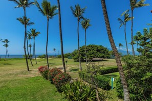 Property grounds - Leinaala Oceanfront #205 Oceanfront Views! A/C, wifi, Pool, Great Rates! (Kihei)