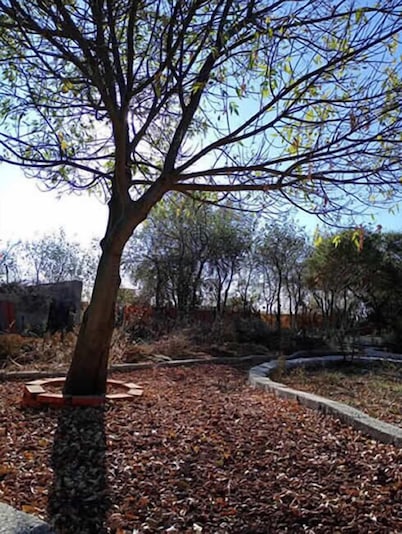 cabañas en arcos del sitio