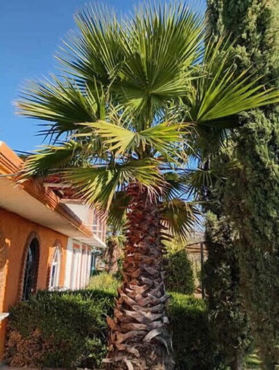 cabañas en arcos del sitio