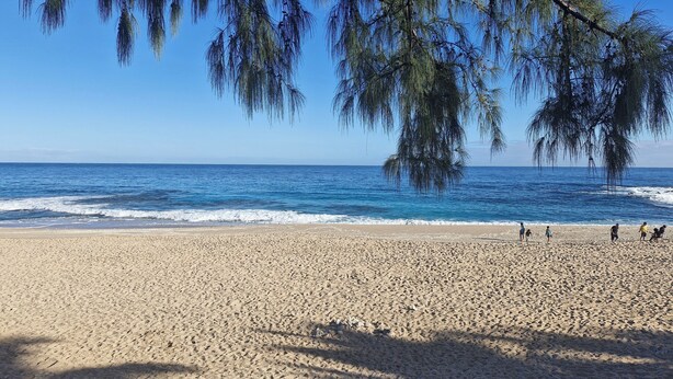 A beach with clear blue water and a sandy shore. - Luxury apartment 25m from the island's most beautiful beach, Boucan Canot. (Saint-Paul)