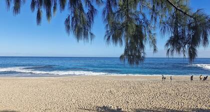 Luxury apartment 25m from the island's most beautiful beach, Boucan Canot.
