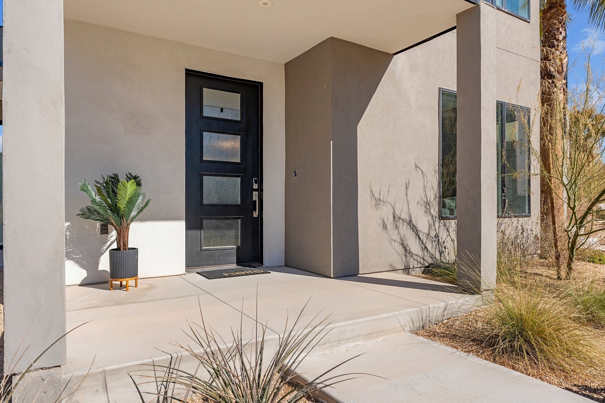 A modern building with a black door, a potted plant, and a concrete entrance area.