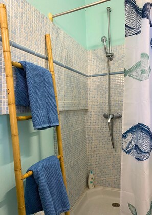 Shower, hair dryer, towels