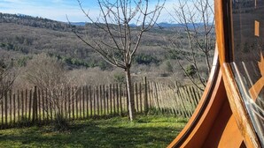 Vista a través de un ventanal circular que muestra un área cubierta de césped, una valla de madera y un árbol, con cielo despejado y montañas al fondo.