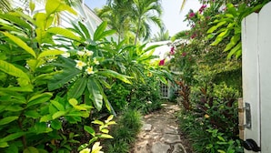 A stone pathway leading through a lush garden with various tropical plants and flowers. - Family Reunion Compound - Great for Groups! Large pool. (Key West)