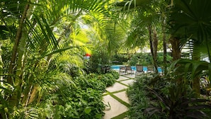 A lush garden with a pool and lounge chairs. - Family Reunion Compound - Great for Groups! Large pool. (Key West)