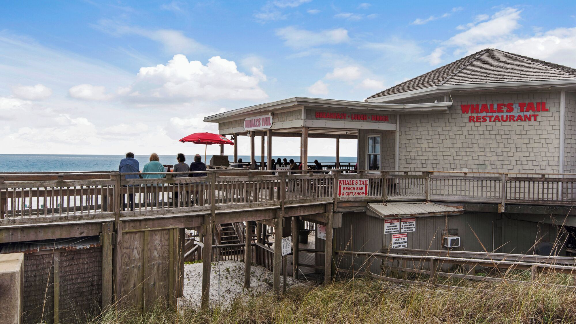 Un restaurante frente al mar llamado 'Whale's Tail', con terraza y vistas al océano.