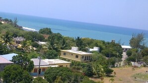Un área residencial costera con casas, árboles y vista al océano.