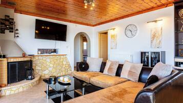 Televisie, een open haard, een dvd-speler en boeken