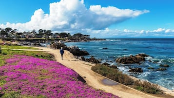 Una spiaggia nelle vicinanze