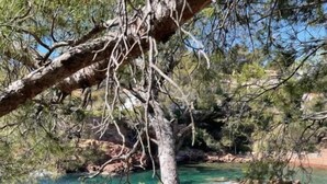 Un paysage naturel caractérisé par une eau claire, un terrain rocheux et des arbres.