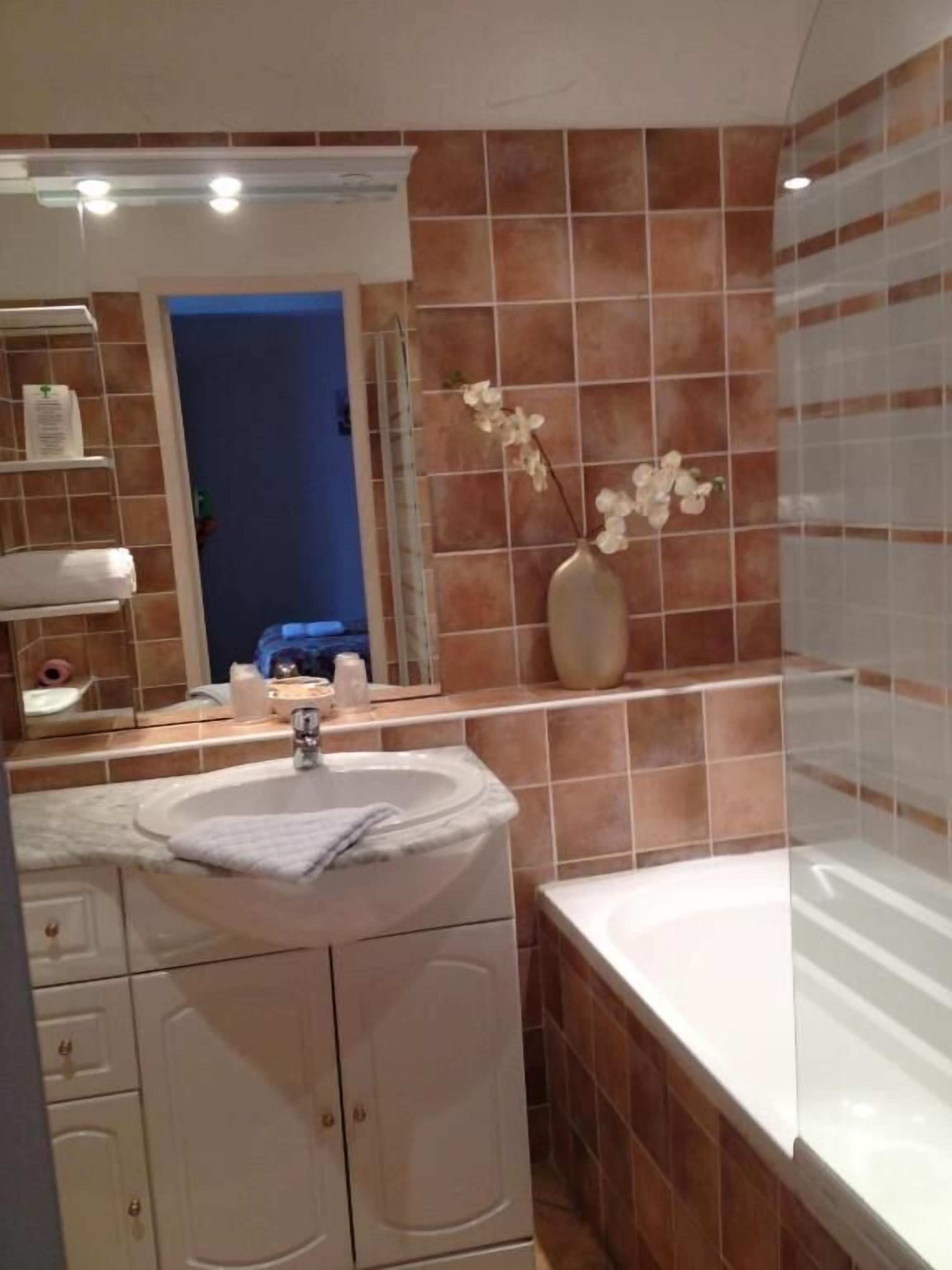 Une salle de bain avec un lavabo, un miroir et un vase de fleurs.