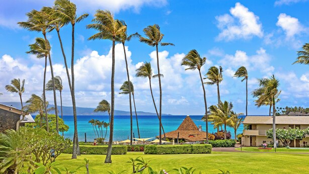 Un resort tropical con palmeras, vista a la playa y un edificio de techo de paja.