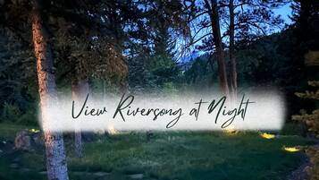 Ein Flussufer bei Nacht mit Bäumen und einem Weg.