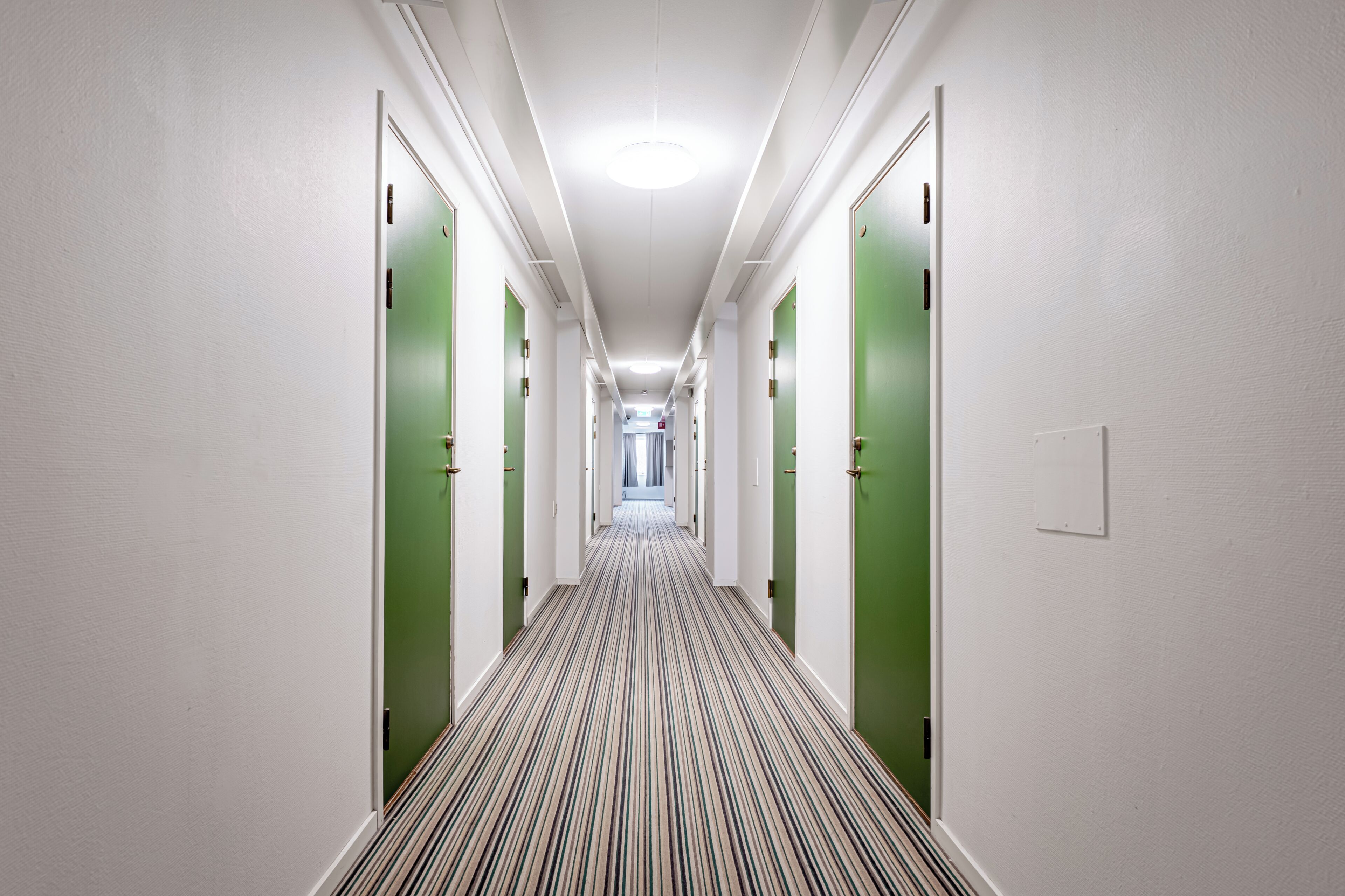 Un long couloir étroit, avec des portes vertes de chaque côté, un tapis à rayures et un plafond blanc agrémenté d’un luminaire.