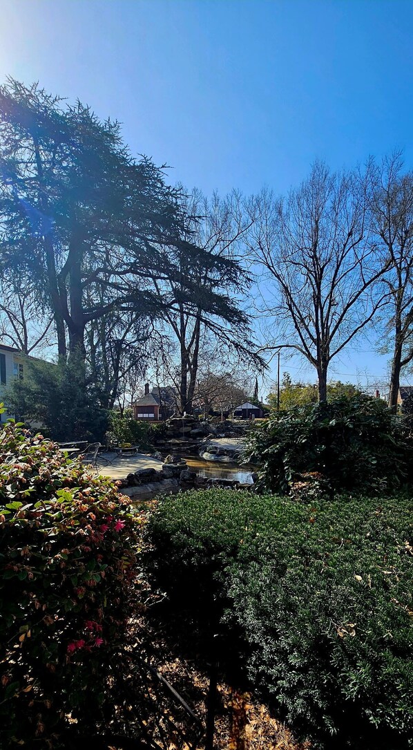 Terrein van de accommodatie