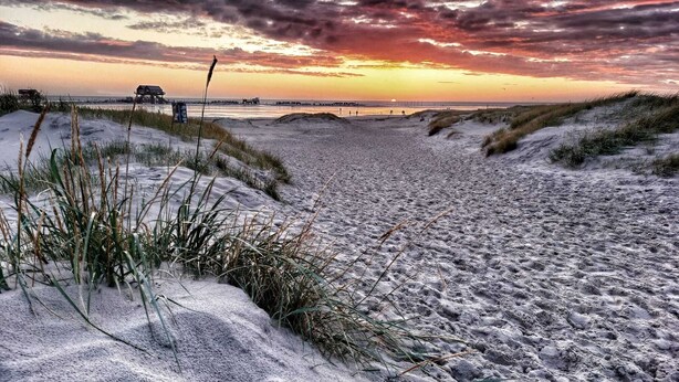 A beach path with dunes and vegetation. - ***SANDLOFT*** (Sankt Peter-Ording)