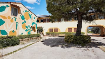 Stunning courtyard with a vibrant mural, surrounded by lush greenery and a large tree.