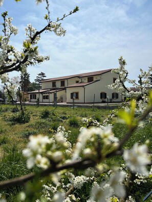 View from property - Tenuta Fasanarella  (Battipaglia)
