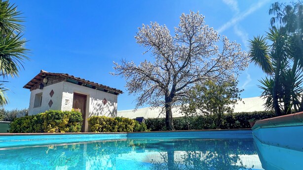 Piscina transparente refletindo um edifício e árvores.