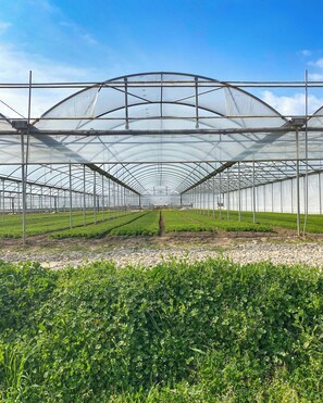 숙박 시설 구내