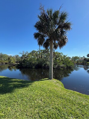 Àrea exterior de l'allotjament