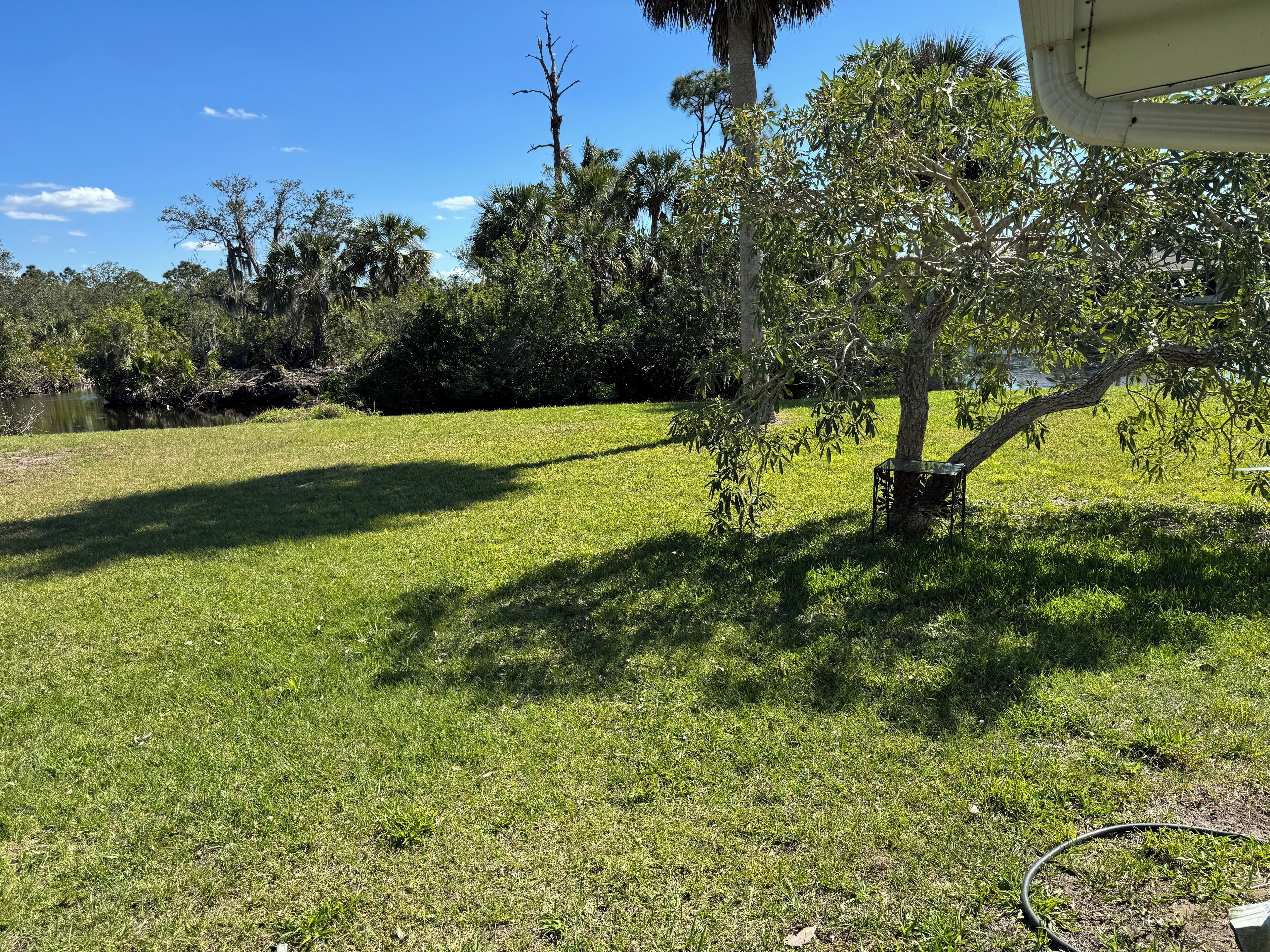 Un espace extérieur verdoyant, avec des arbres et un ciel dégagé.