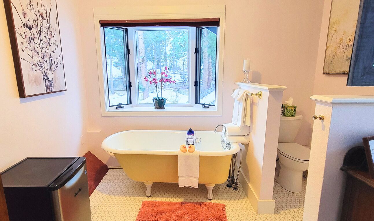 Un baño con una bañera independiente, un ventanal con vistas a árboles, un inodoro y un cubo de basura.