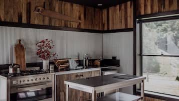 Fridge, oven, stovetop, toaster