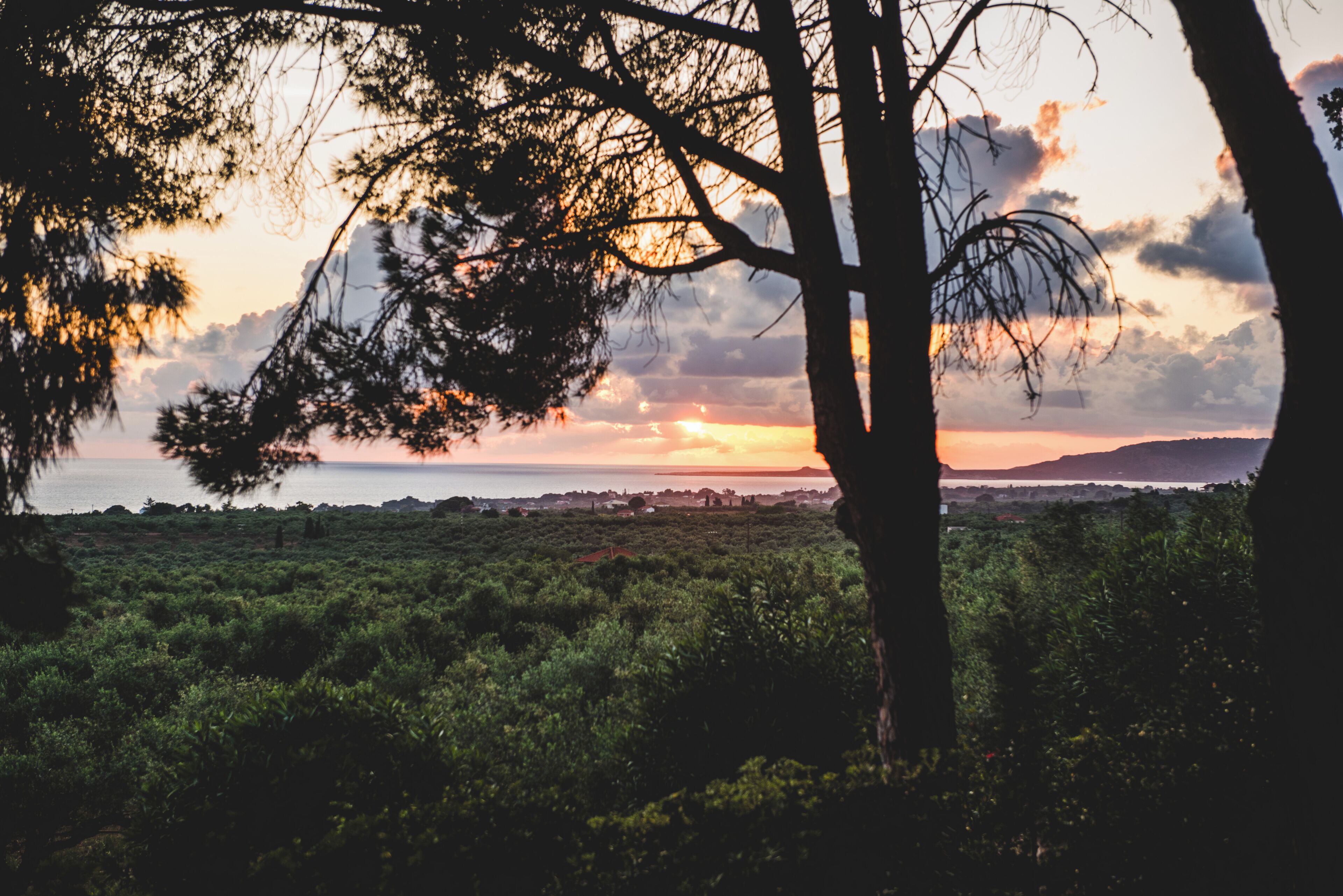 Paisaje con árboles, una masa de agua y un horizonte lejano.