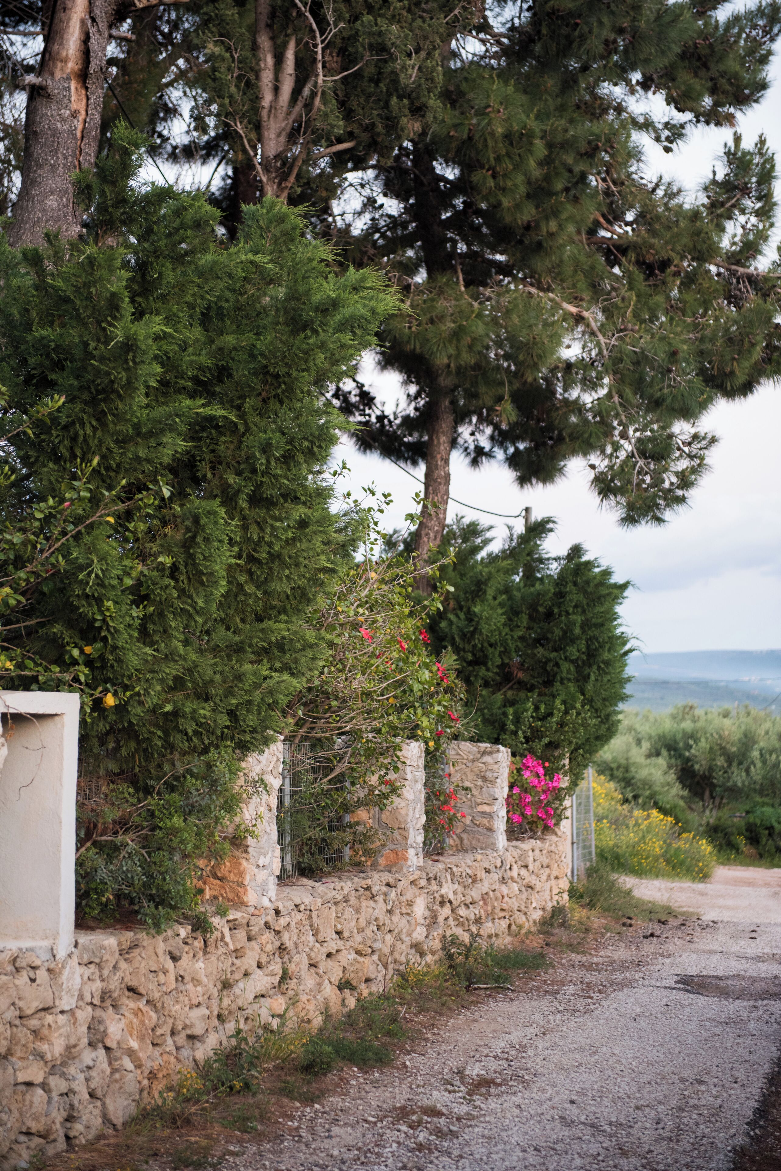 Un muro in pietra con un pilastro, un albero e un vialetto sterrato.