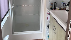 A bathroom with a shower enclosure, a towel hanging above the shower, a small potted plant, and toiletries on the countertop.