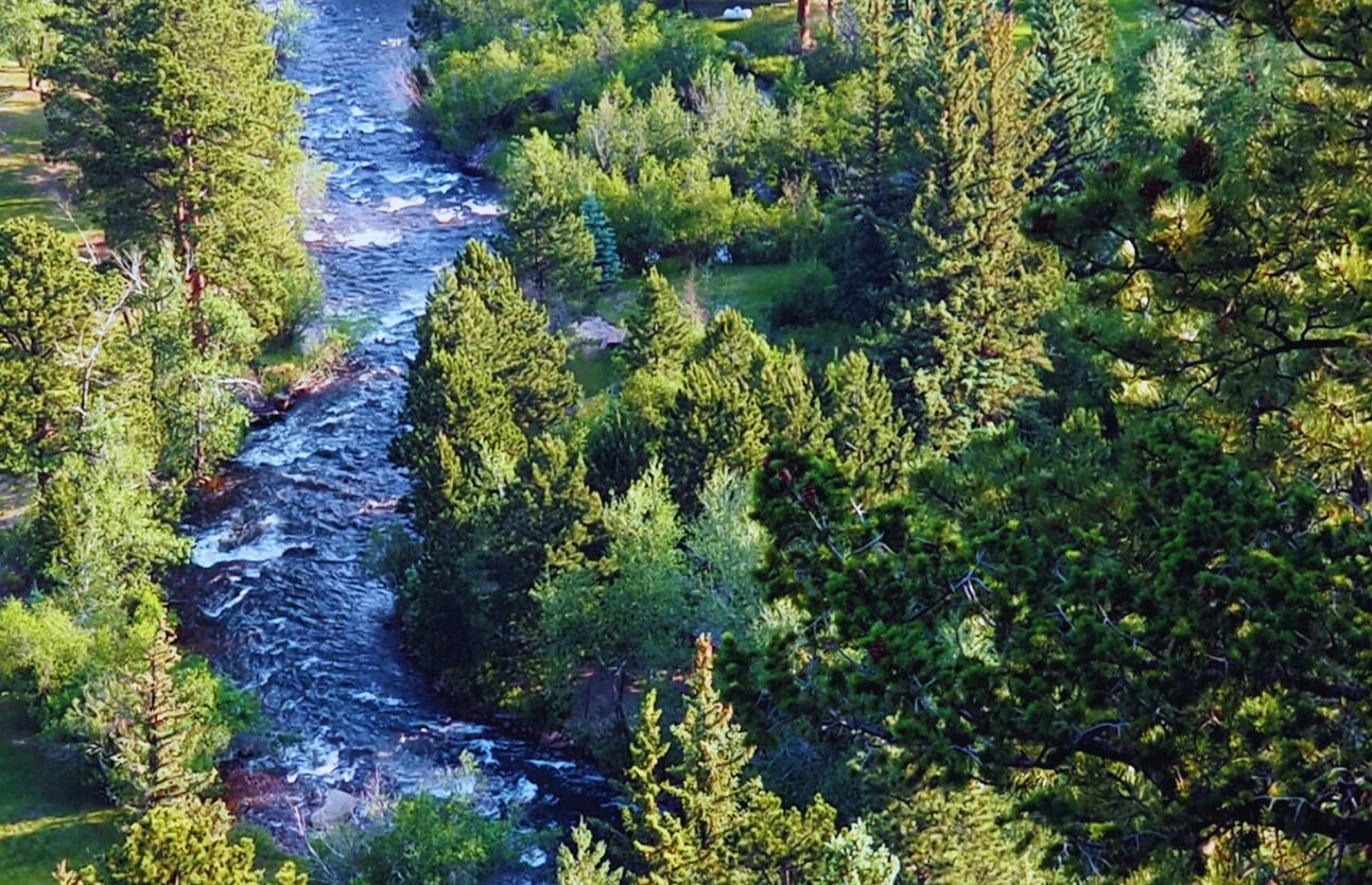 Een rivier die door een dichtbegroeid gebied stroomt.