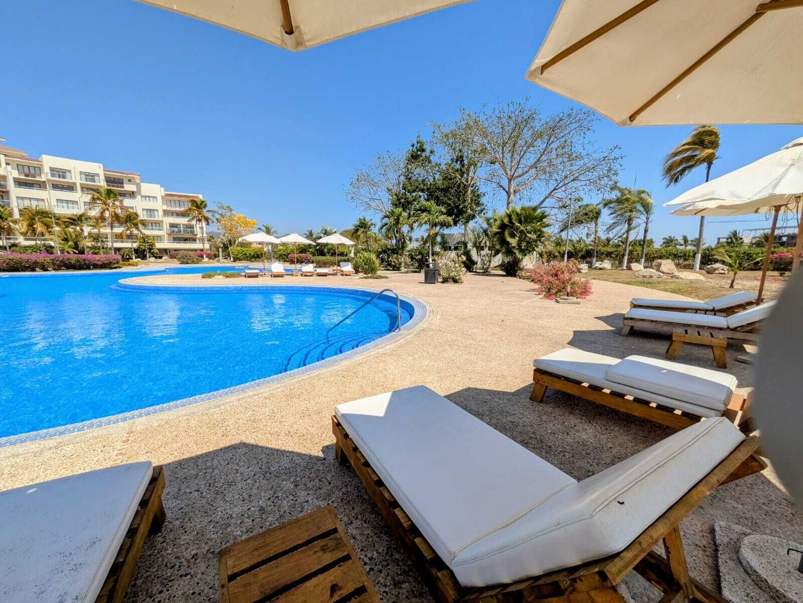 Un espace piscine avec des chaises longues et des parasols, entouré de palmiers et avec un bâtiment en arrière-plan.
