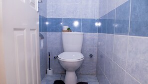 Shower, bidet, towels, soap