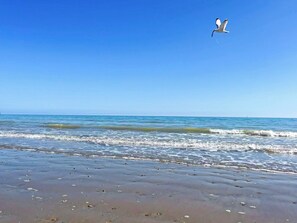 Pesca