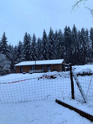 A snow-covered building with a fenced yard, surrounded by evergreen trees.