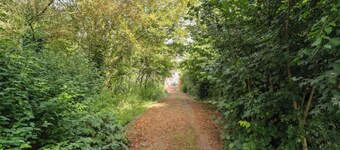 1 bedroom accommodation in Frithville, near Lincolnshire