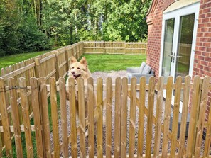 Une cour arrière clôturée avec un chien, une terrasse dotée de meubles d’extérieur et un bâtiment en briques avec une porte en verre.